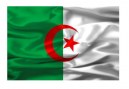 drapeau-algerie9