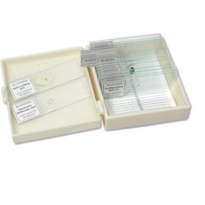 Coffret de 25 préparations microscopiques    علبة 25 صفيحة مجهريه جاهزة للاستعمال علم النباتات
