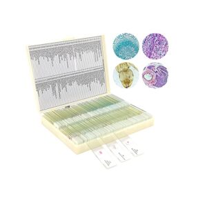 Coffret de 100 préparations microscopiques  LA BOTANIQUE   علبة 100 صفيحة مجهريه جاهزة للاستعمال علم النبتات